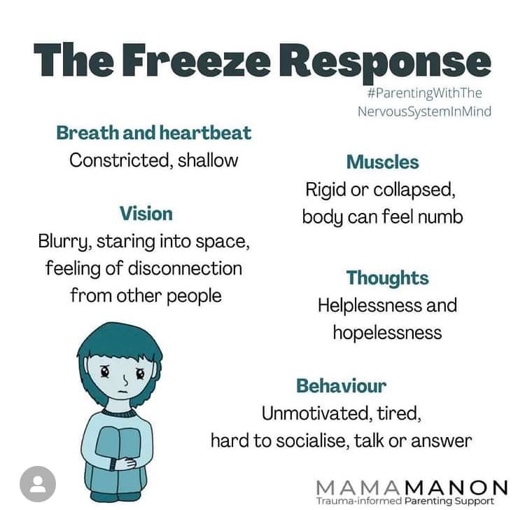 The Freeze Trauma Response